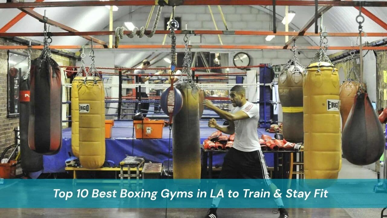 Top 10 Best Boxing Gyms in LA to Train & Stay Fit