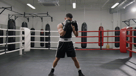 How to throw a Boxing Hook The Complete Masterclass for Speed, Power, and Precision