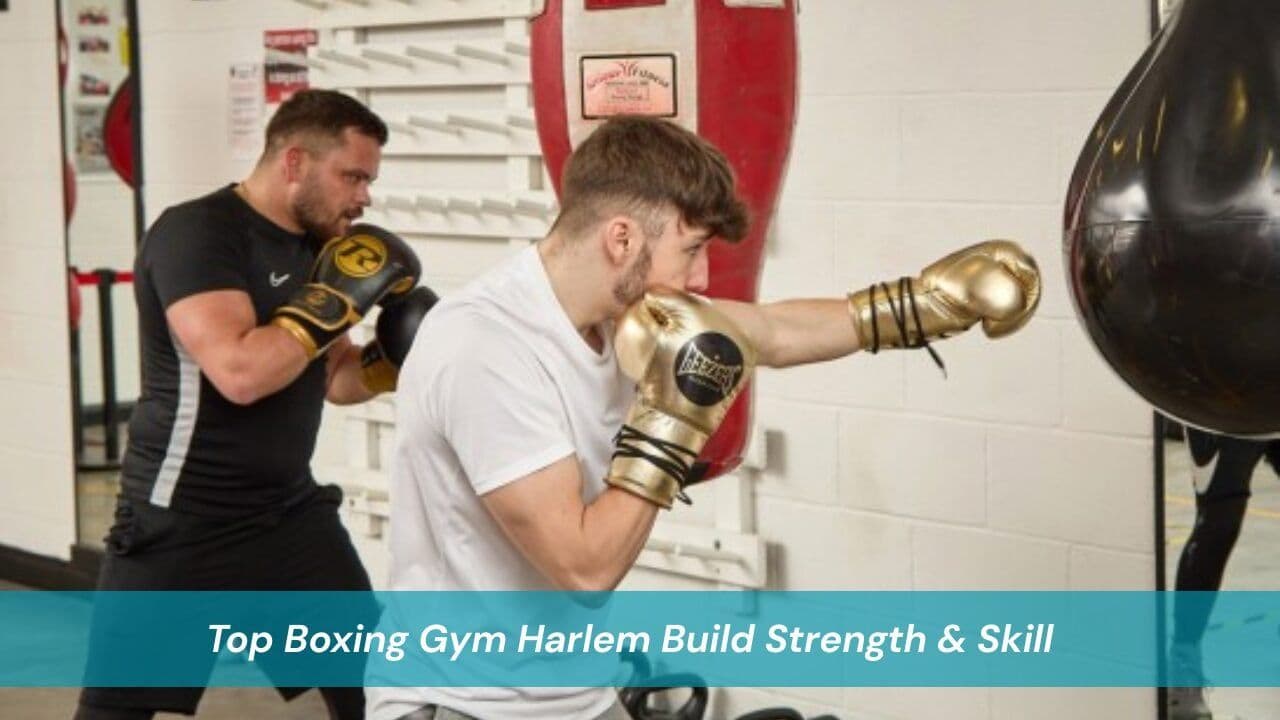 Top Boxing Gym Harlem Build Strength & Skill