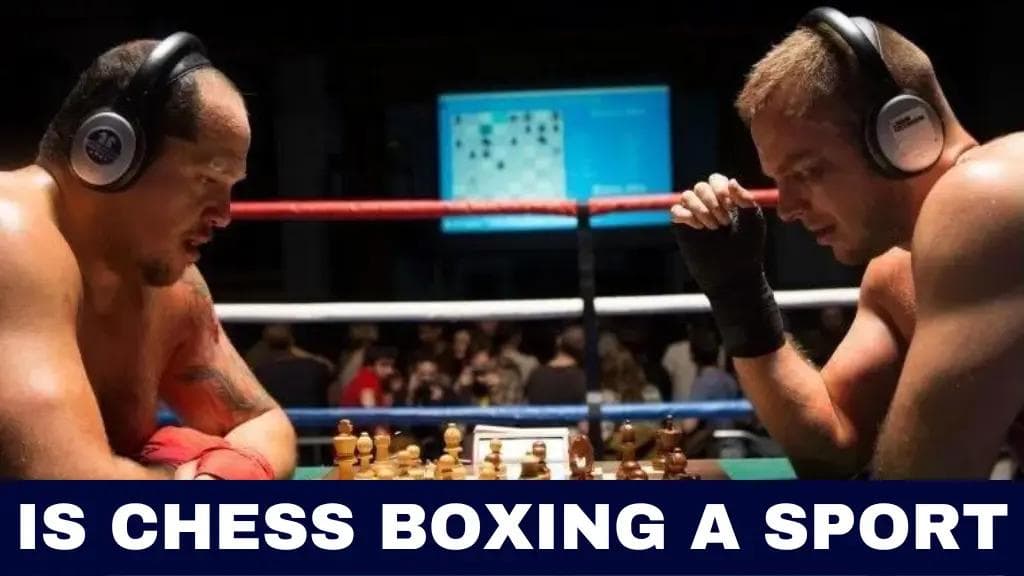 Chess Boxing The Ultimate Test of Brain and Brawn