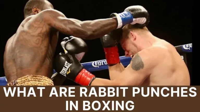 What are rabbit punches in boxing