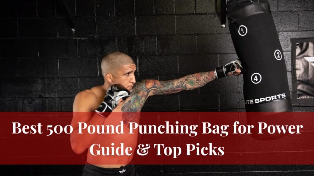 Best 500 Pound Punching Bag for Power Guide & Top Picks