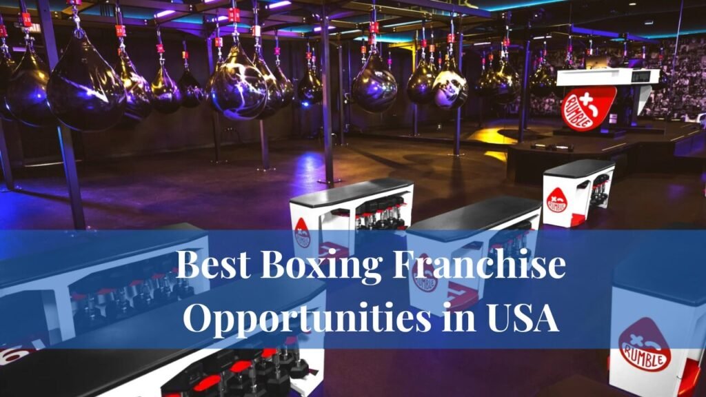 Best Boxing Franchise Opportunities in USA