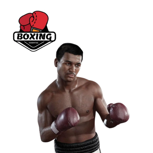 Sugar Ray Robinson