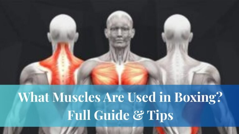What Muscles Are Used in Boxing? Full Guide & Tips