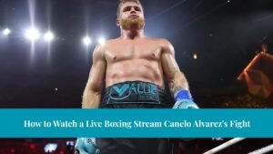 Watch a Live Boxing Stream Canelo Alvarez's Fight