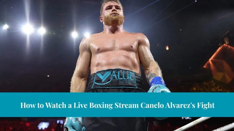 Watch a Live Boxing Stream Canelo Alvarez's Fight