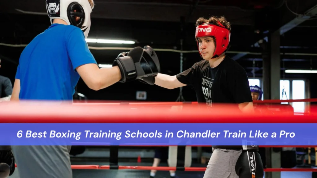 Boxing Training Schools in Chandler ]