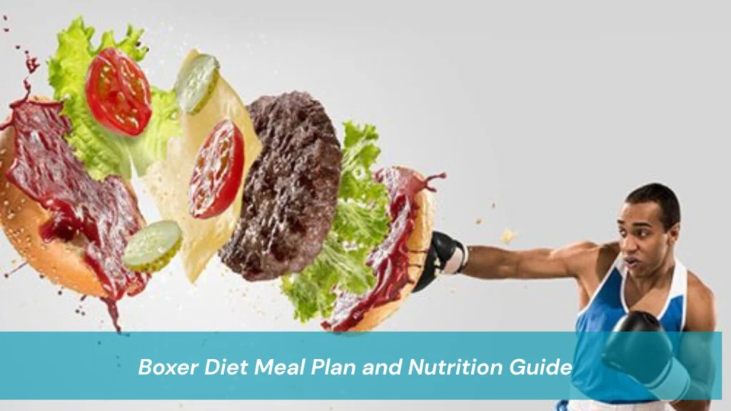 Boxer Diet Meal Plan