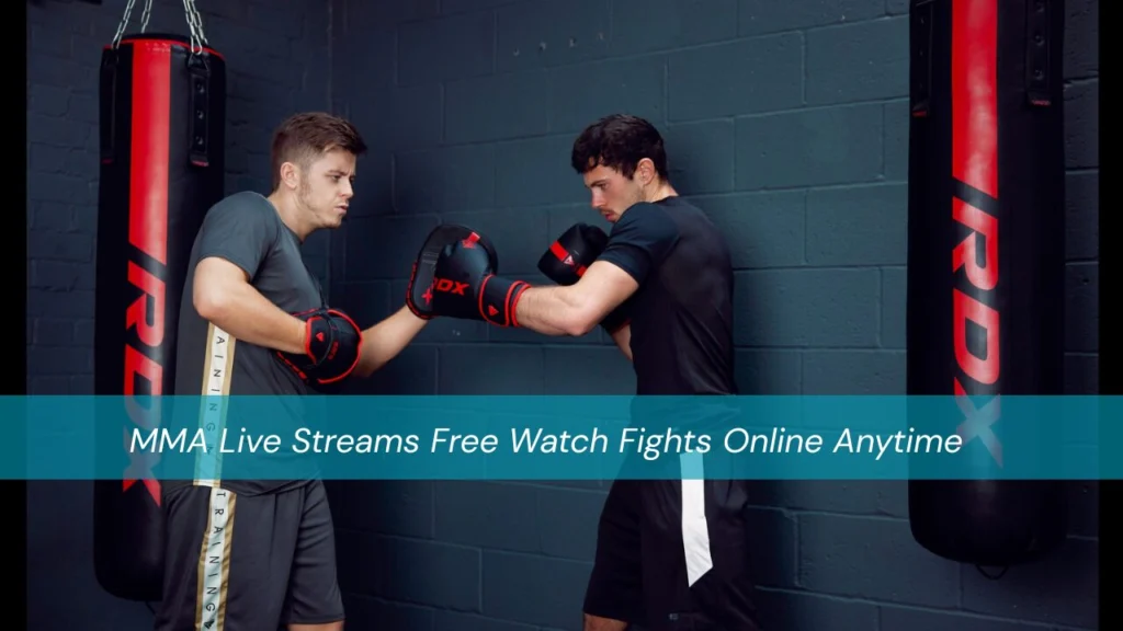 Boxer Train How a Boxer