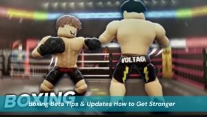 Boxing Beta Tips