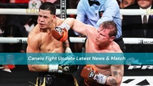 Canelo Fight