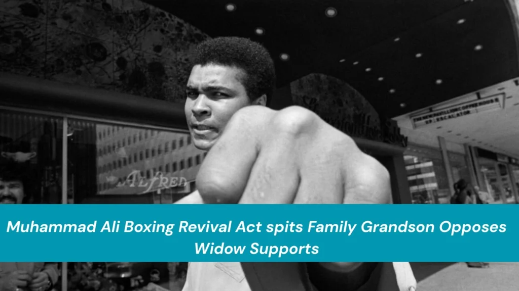 Muhammad Ali Boxing Revival
