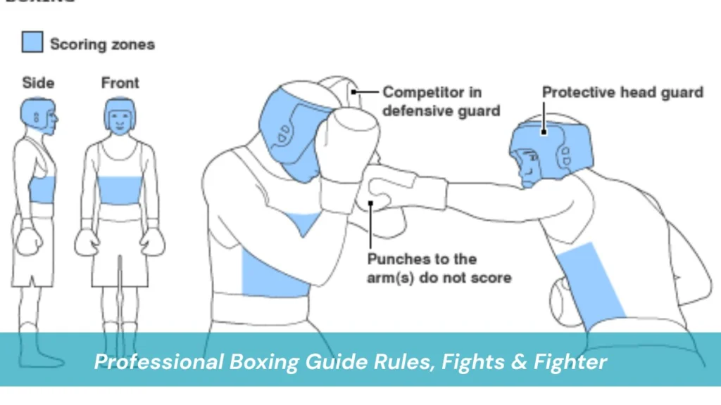 Professional Boxing