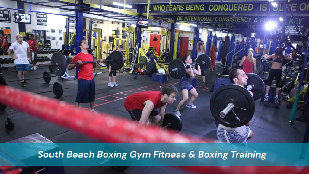 South Beach Boxing Gym Fitness