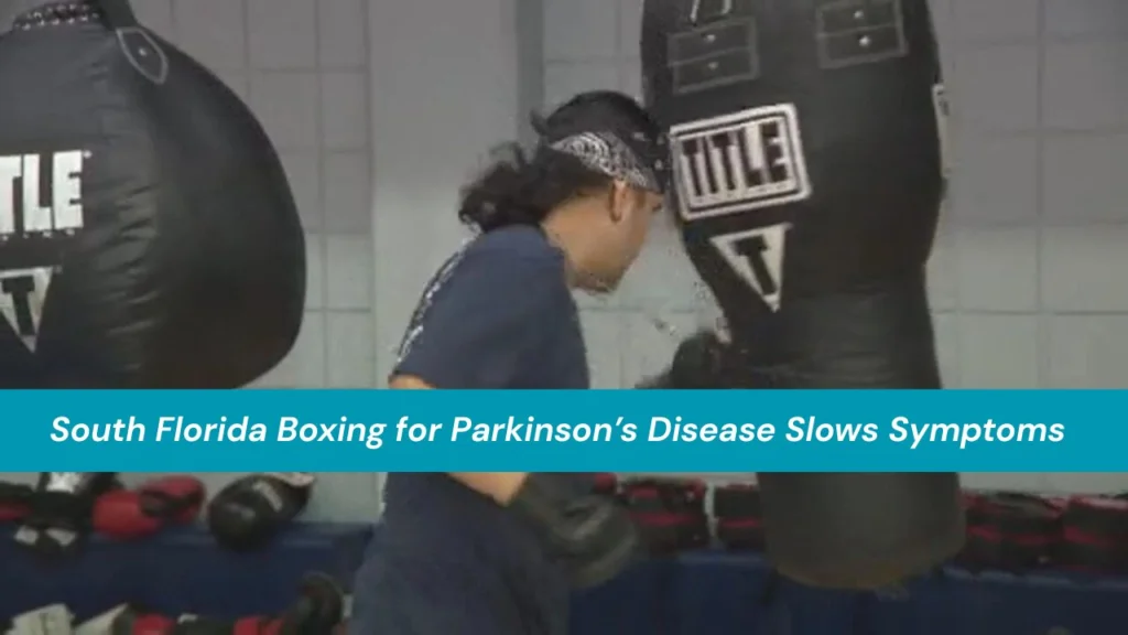 South Florida Boxing