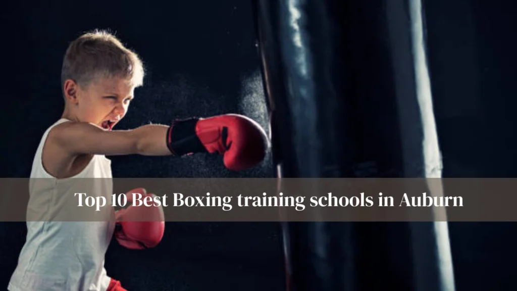 Boxing training schools in Auburn