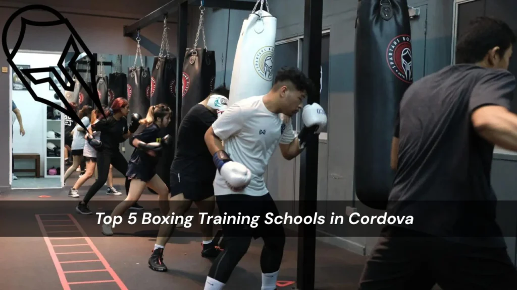 Boxing Training Schools in Cordova