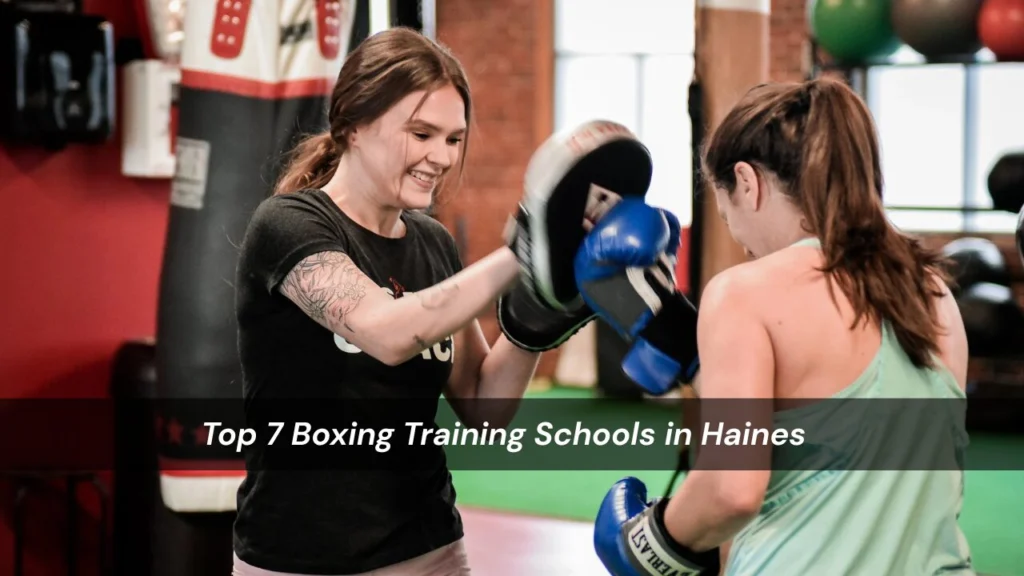 Boxing Training Schools in Haines