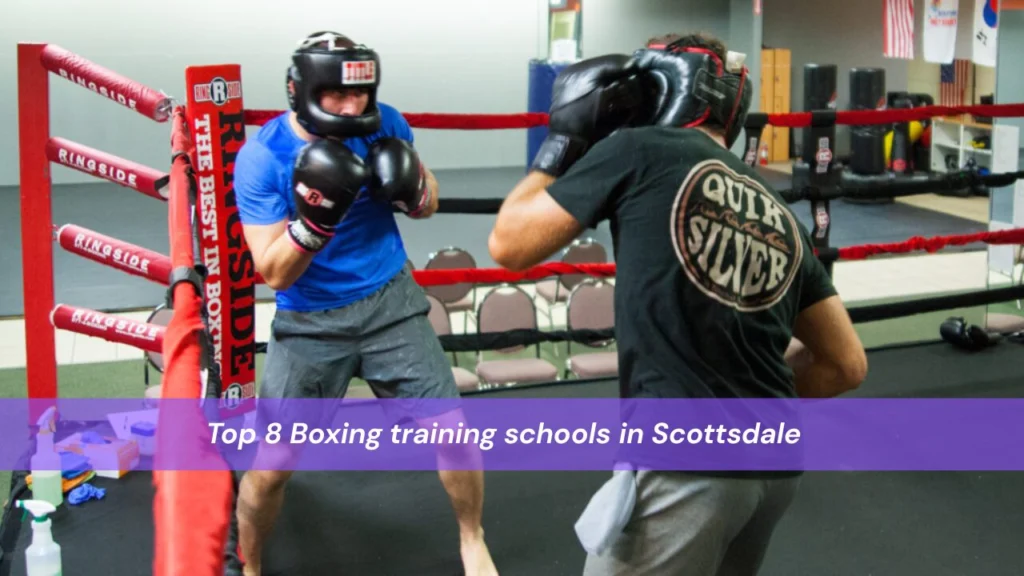 Top 8 Boxing training schools