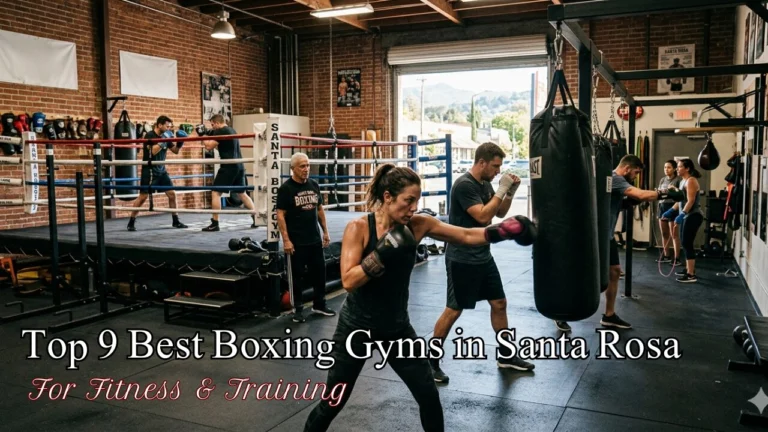 Best Boxing Gyms in Santa Rosa for Fitness & Training