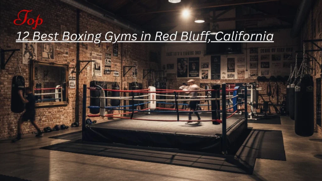 Best Boxing Gyms in Red Bluff, California